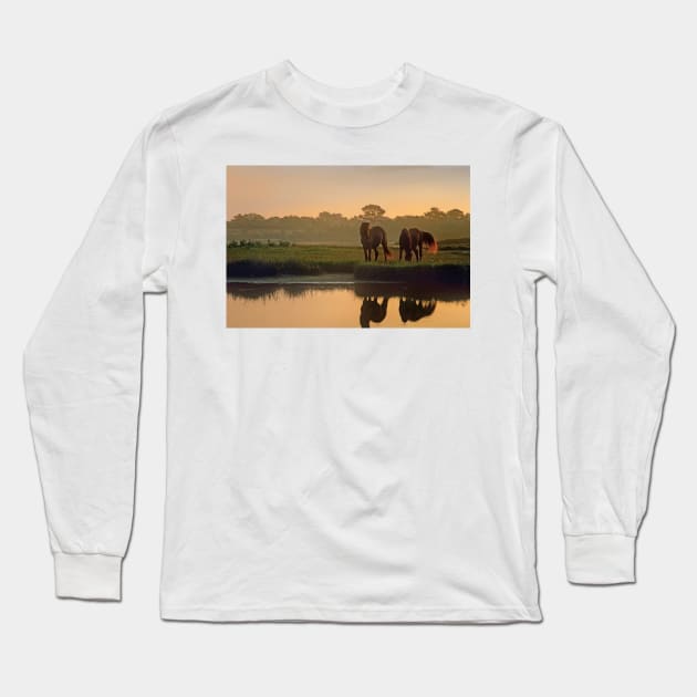 Wild Horse Pair Grazing At Assateague Island National Seashore Long Sleeve T-Shirt by AinisticGina